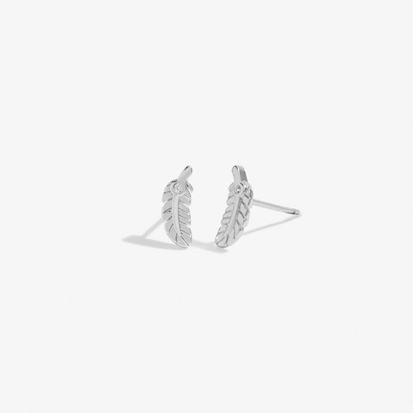 'Feathers Appear When Loved Ones Are Near' Silver Earrings