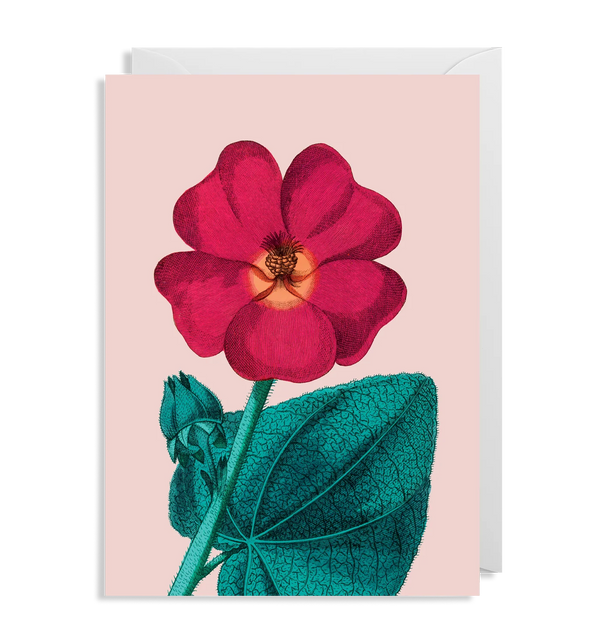 Hollyhock Floral Card