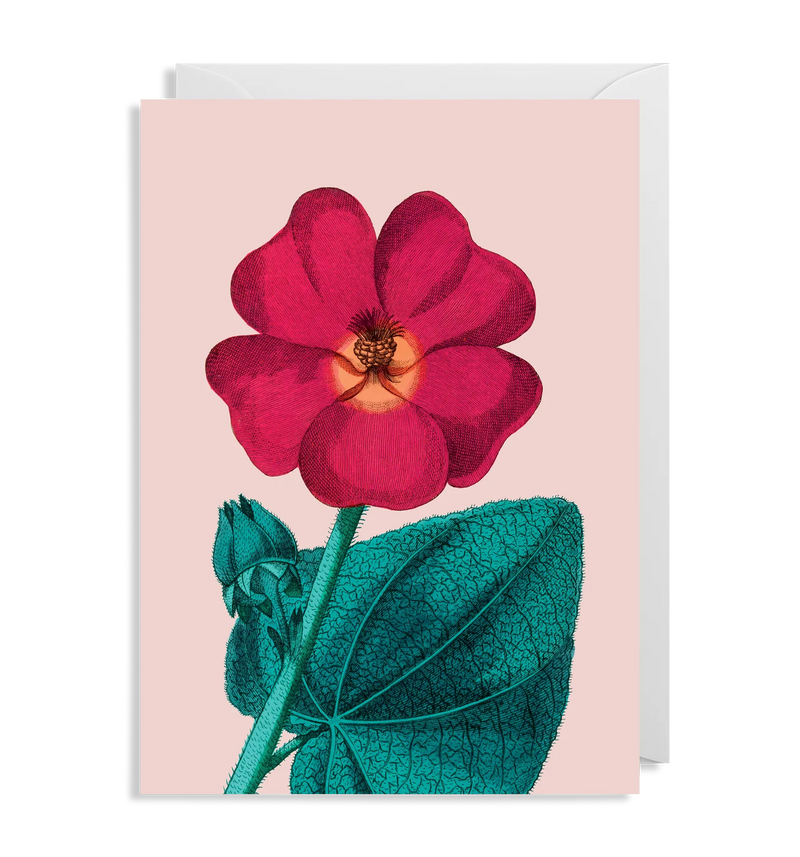 Hollyhock Floral Card