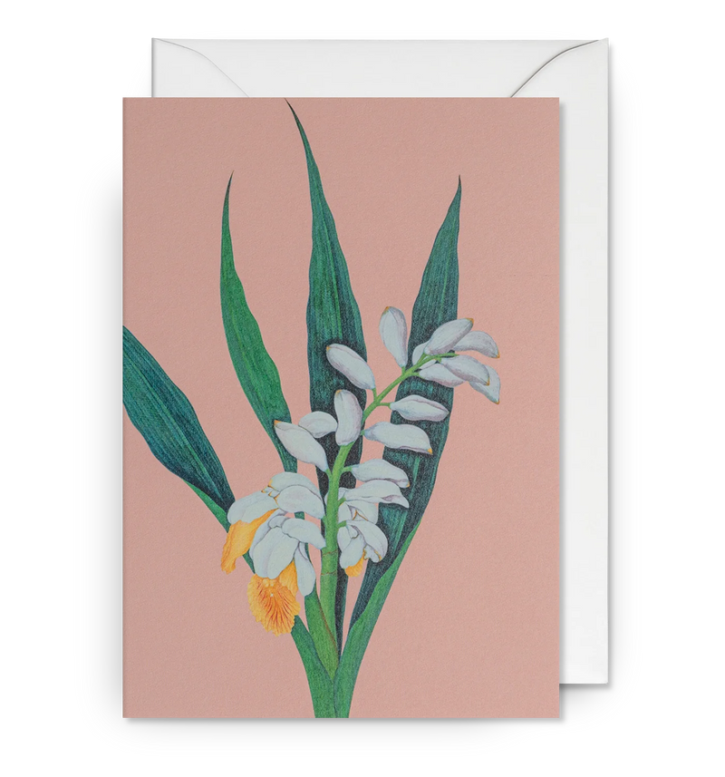 Royal Shell Ginger Greeting Card