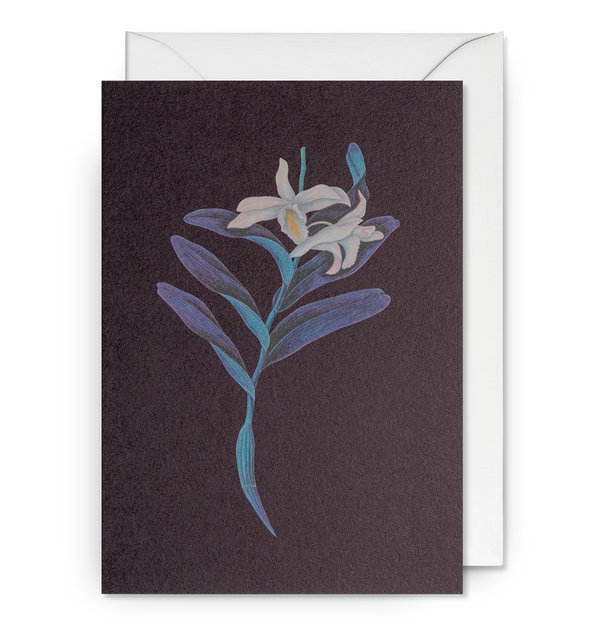 Botanical White Orchid Greeting Card