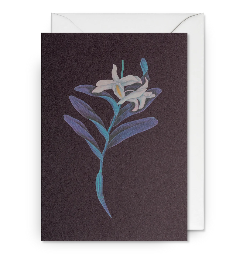 Botanical White Orchid Greeting Card