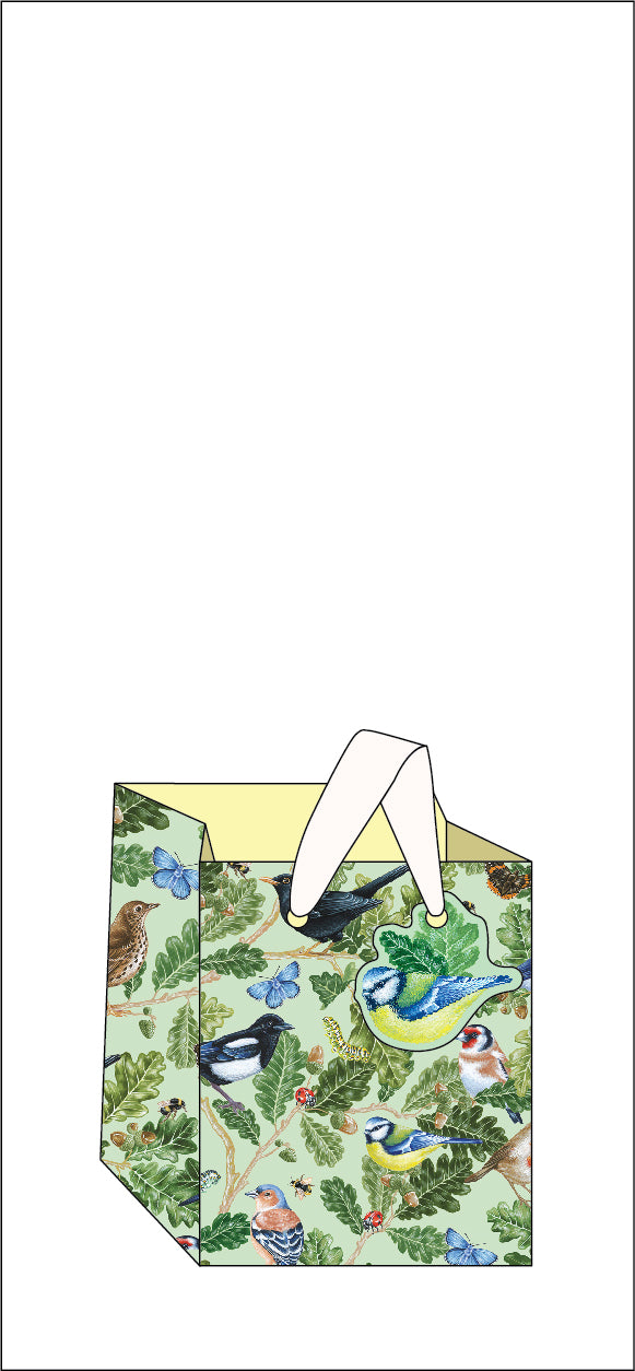 Birdsong Gift Bag, Small Square