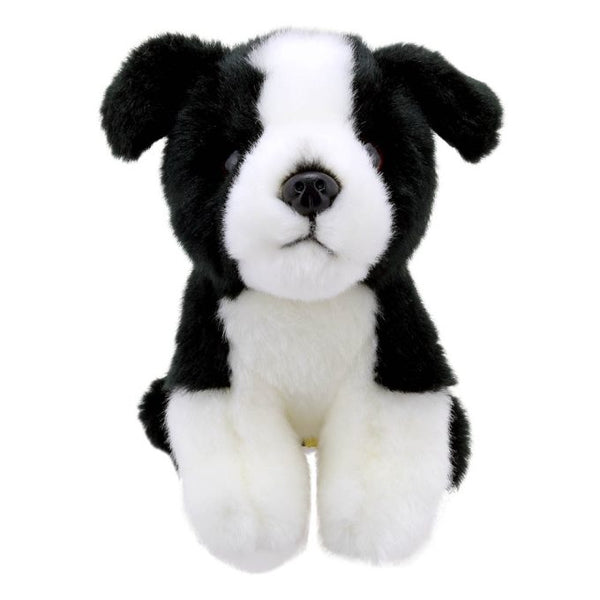 Mini Border Collie Soft Toy