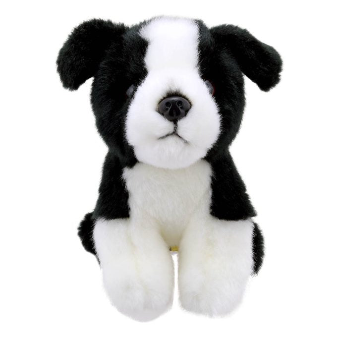 Mini Border Collie Soft Toy