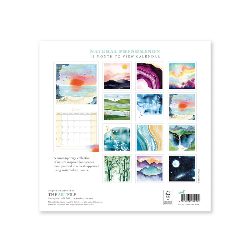 Natural Phenomenon 12 month Wall Calendar 2026
