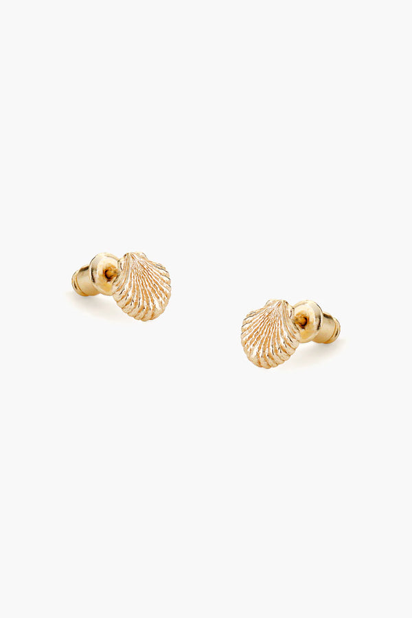 Shell Earrings - Gold