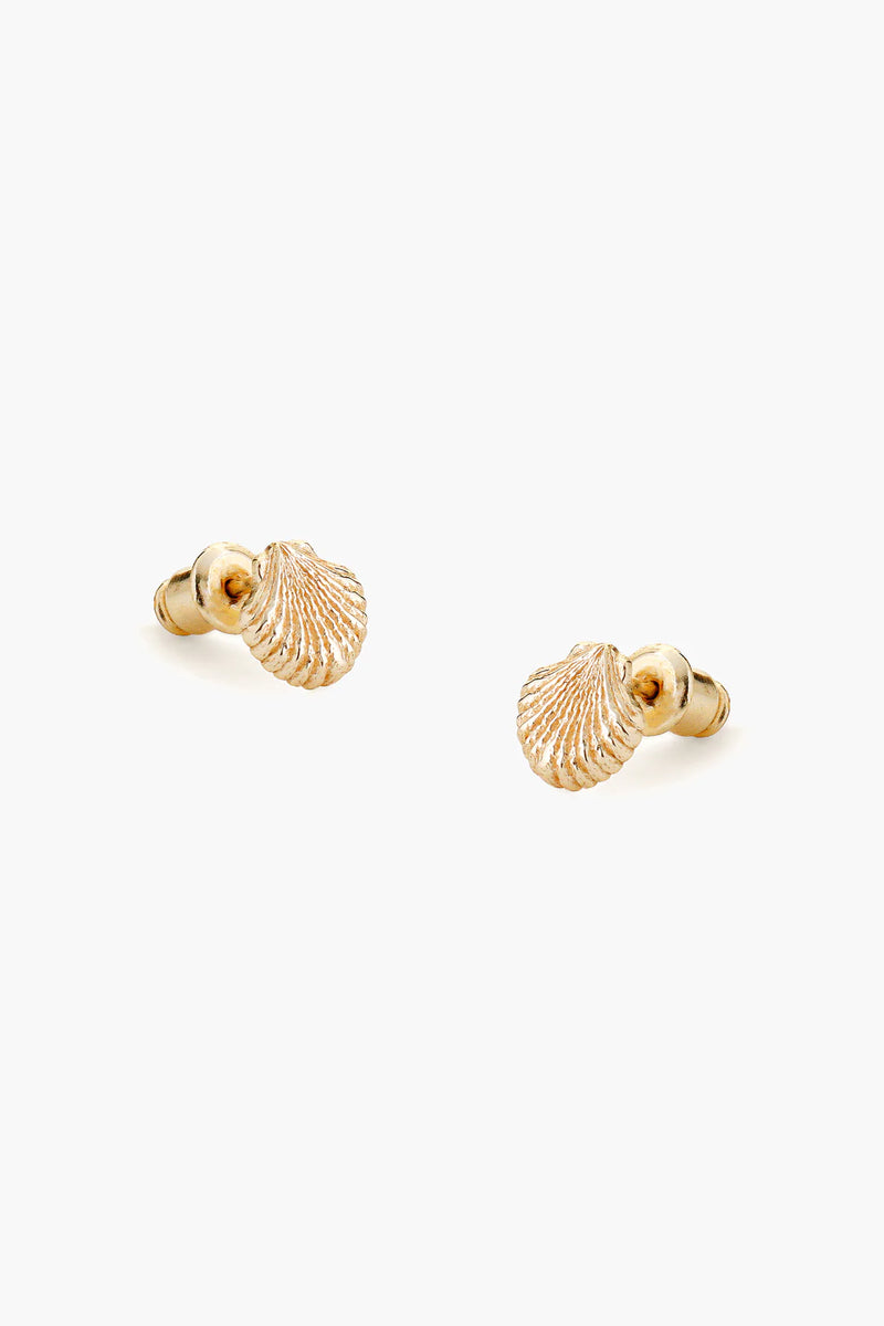 Shell Earrings - Gold