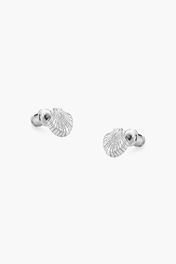 Shell Earrings - Silver