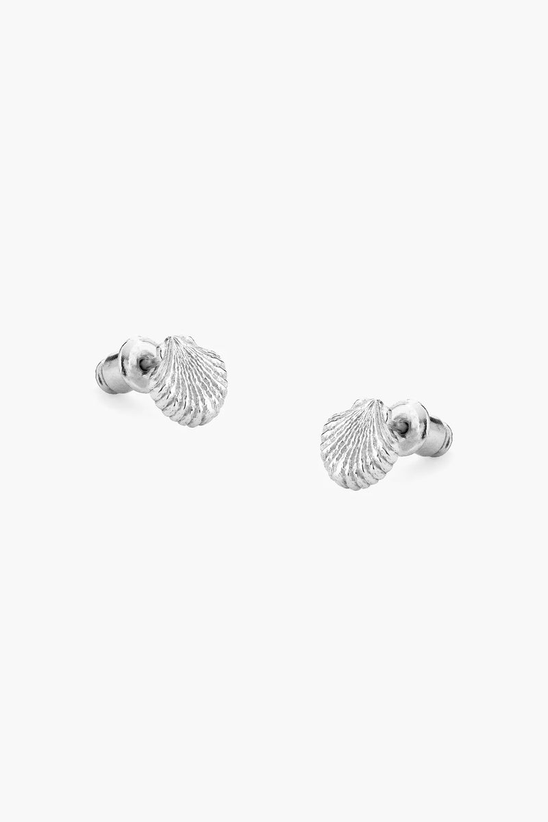 Shell Earrings - Silver