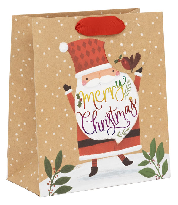 Rainbow Claus Medium Gift Bag