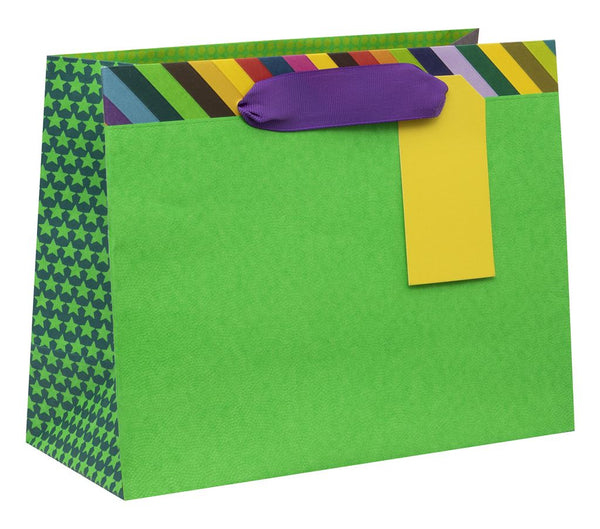 Green Colour Hub Medium Gift Bag