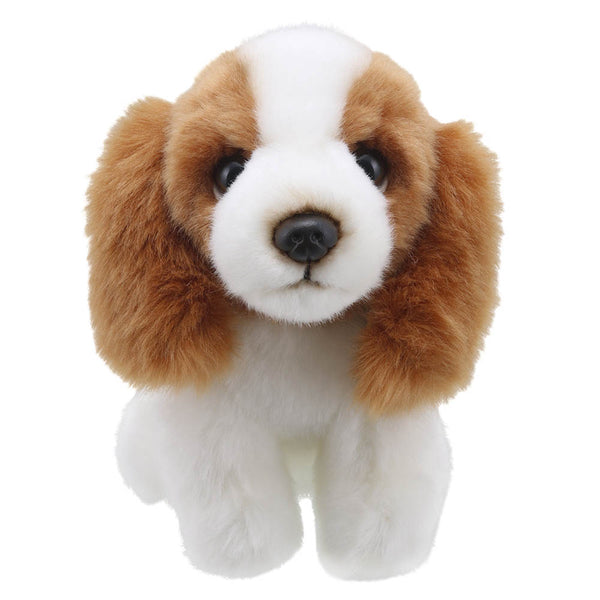 King Charles Spaniel Mini Soft Toy