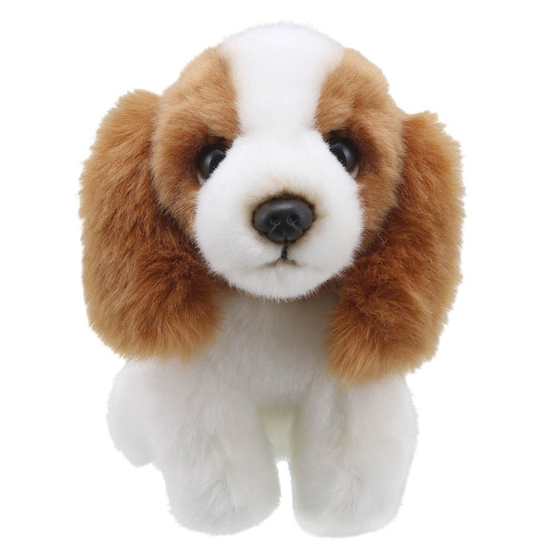 King Charles Spaniel Mini Soft Toy