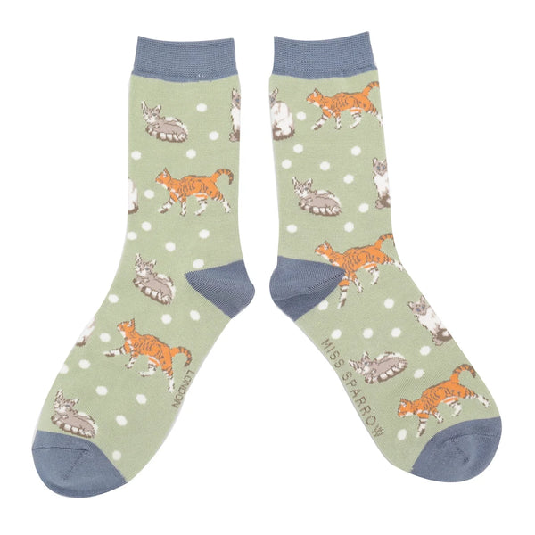 Cats & Spots Socks - Sage