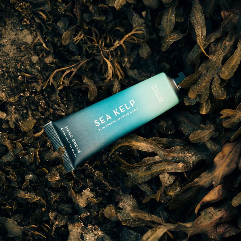 Sea Kelp Mini Hand Cream