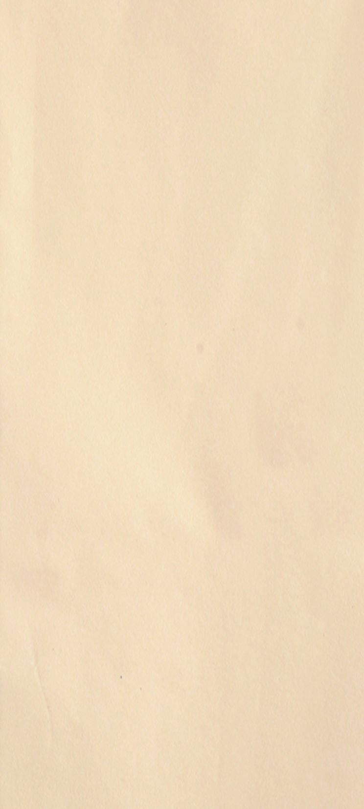Cream Tissue Paper