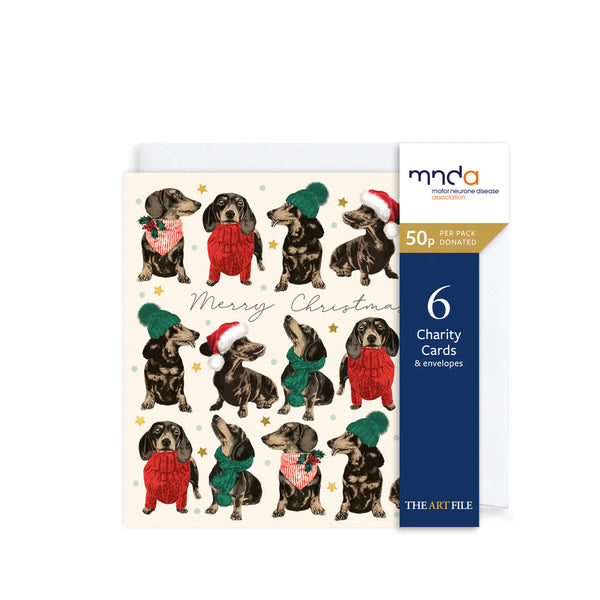 Frank In Sweaters Christmas Charity Christmas Cards