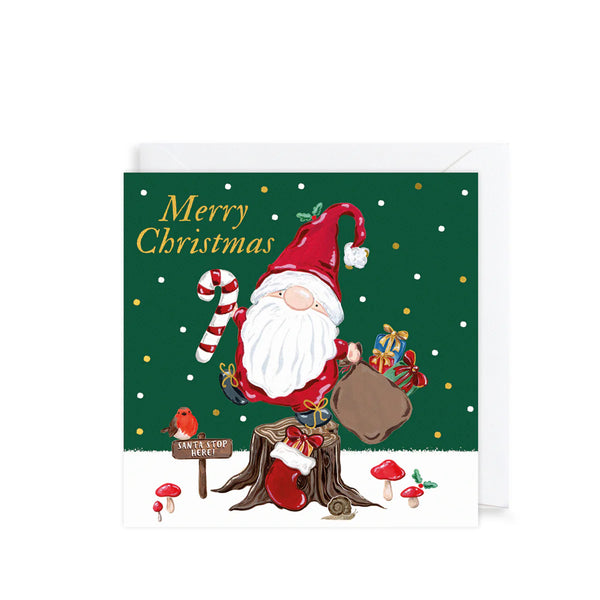 Merry Christmas Gnome Charity Christmas Cards