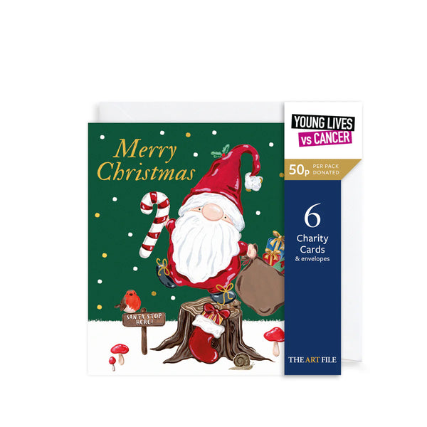 Merry Christmas Gnome Charity Christmas Cards