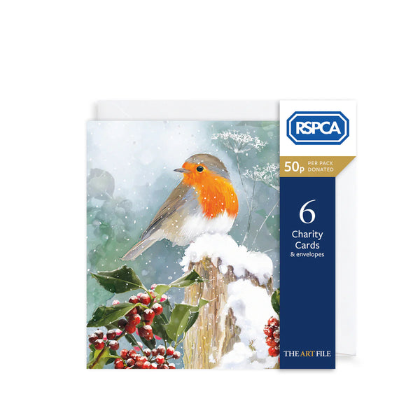 Robin & Holly Berries Charity Christmas Cards