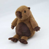 Small Capybara