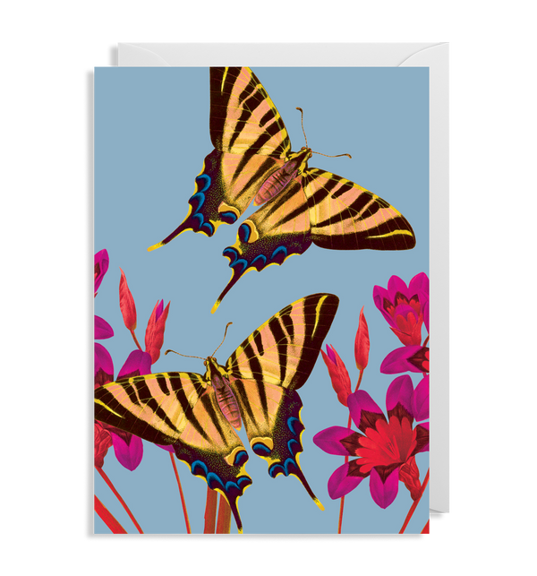 Ixia Butterfly Card