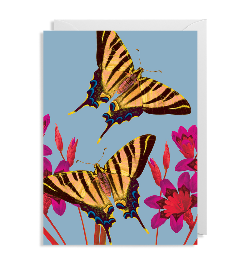 Ixia Butterfly Card