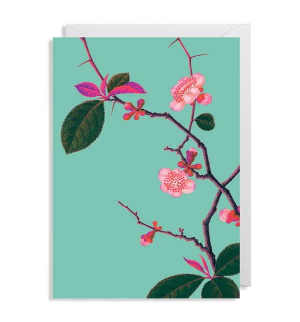 Pyrus Japonica Card