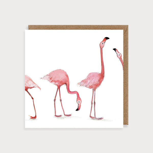 Flamingos Blank Card
