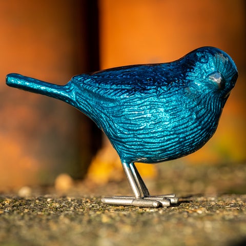 Brushed Aqua Bird