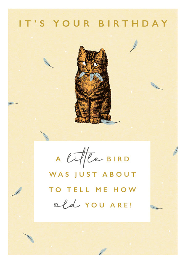 A Little Bird, It's Your Birthday Card