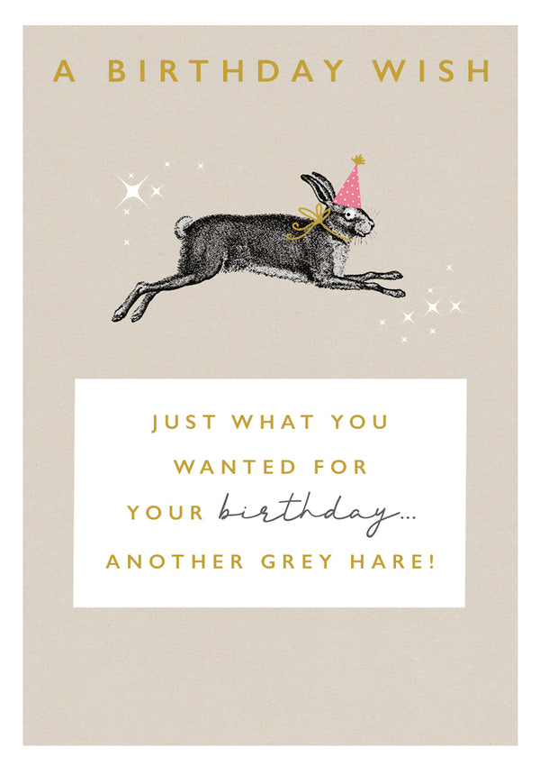 Another Grey Hare Birthday Card