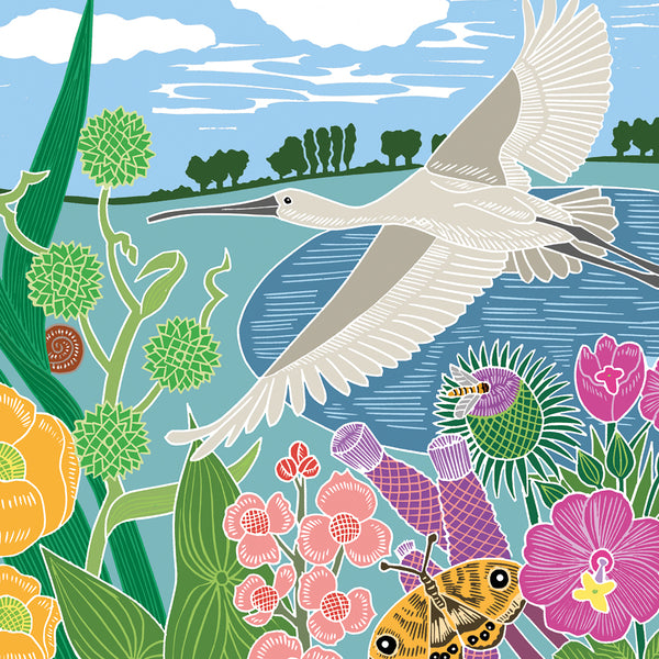 Spoonbill Card