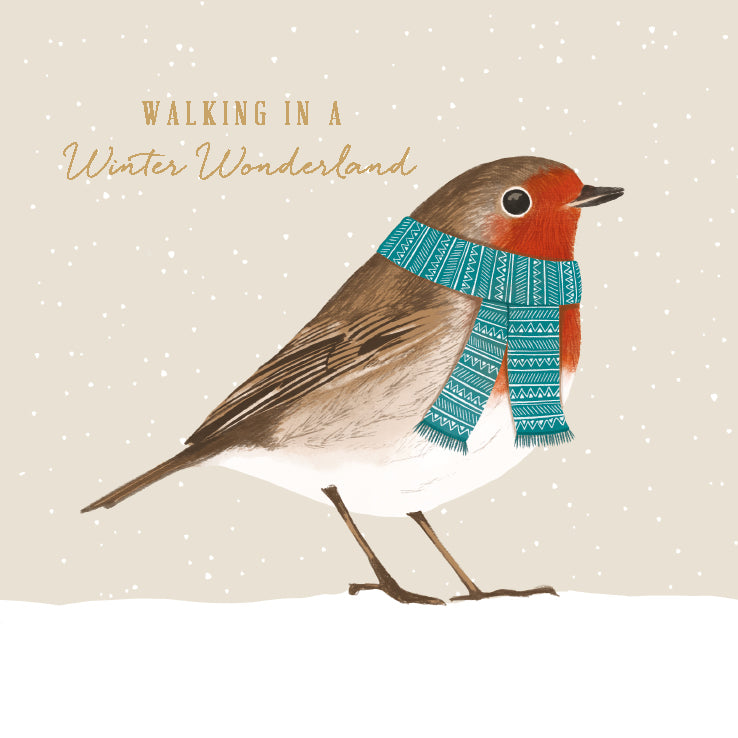 Robin In A Scarf Charity Christmas Cards - MNDA