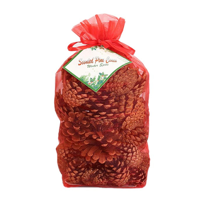 Scented Pine Cones - Winter Spice