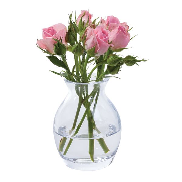 Flower Garden Bloom Vase
