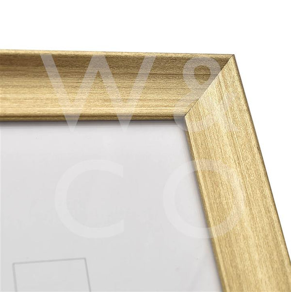 Brushed Gold Traditional Photo Frame