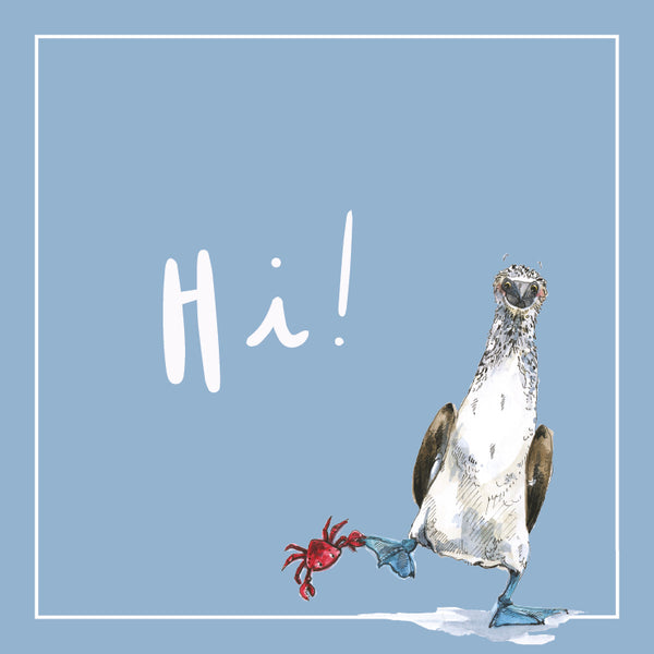 Snowtap Boobie & Hummingbird Notecards- Pack Of 10