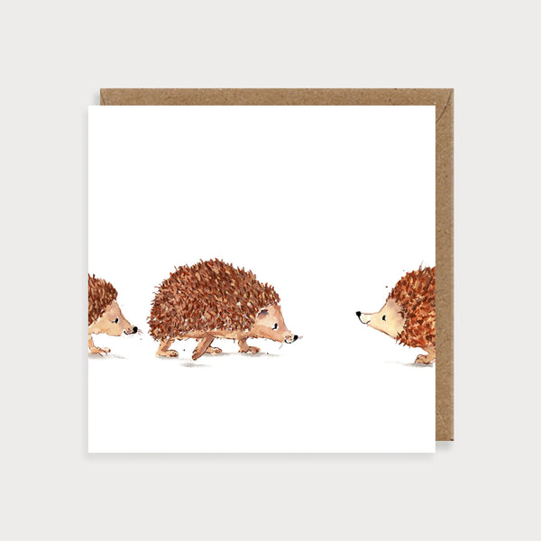Hedgehogs Blank Card