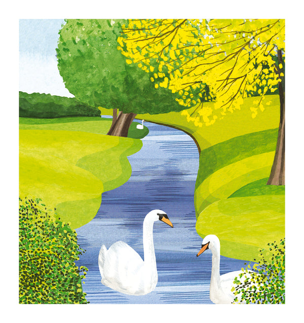 Swans On The River Card