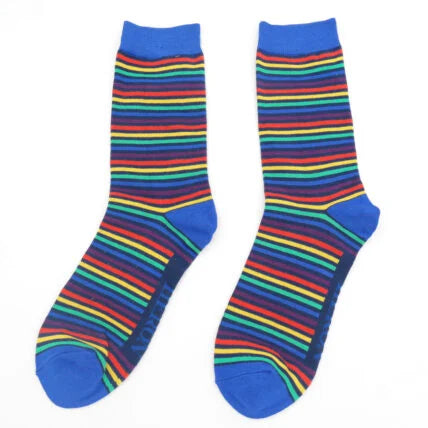 Vibrant Stripes Socks - Navy